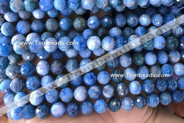 CAP595 15.5 inches 9mm faceted round apatite gemstone beads