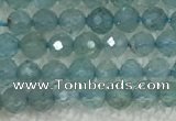 CAP620 15.5 inches 2mm faceted round tiny apatite gemstone beads