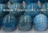 CAP632 15.5 inches 10mm round apatite beads wholesale