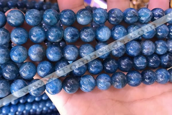 CAP640 15.5 inches 10mm round natural apatite gemstone beads