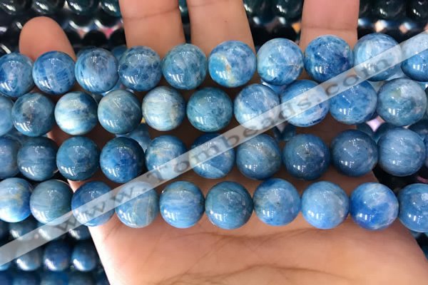 CAP643 15.5 inches 12mm round natural apatite gemstone beads