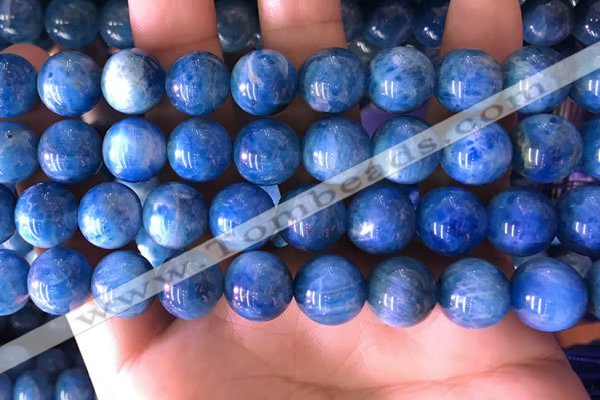 CAP644 15.5 inches 12mm round natural apatite gemstone beads