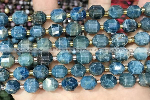 CAP725 15 inches 9*10mm faceted apatite beads wholesale