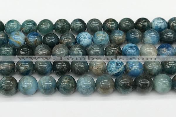 CAP733 15 inches 10mm round apatite gemstone beads