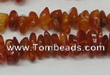 CAR115 16 inches 3*6mm - 4*8mm natural amber chips beads