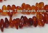 CAR116 16 inches 3*8mm - 4*10mm natural amber chips beads