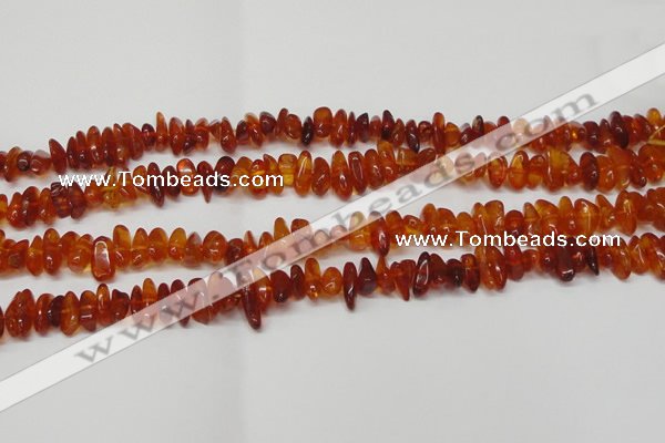 CAR116 16 inches 3*8mm - 4*10mm natural amber chips beads