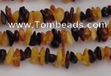 CAR204 24 inches 3*8mm natural amber chips beads wholesale