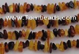 CAR205 32 inches 3*5mm natural amber chips beads wholesale