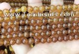 CAR234 15.5 inches 6mm - 7mm round natural amber beads wholesale