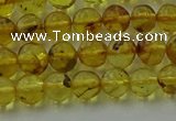 CAR521 15.5 inches 5mm - 6mm round natural amber beads wholesale