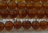 CAR526 15.5 inches 5mm - 6mm round natural amber beads wholesale