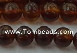 CAR528 15.5 inches 8mm - 9mm round natural amber beads wholesale