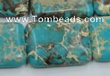 CAT17 15.5 inches 22*30mm rectangle natural aqua terra jasper beads