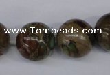 CAT5055 15.5 inches 18mm round natural aqua terra jasper beads