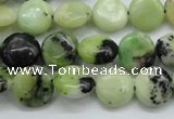 CAU201 15.5 inches 12mm flat round Australia chrysoprase beads