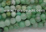 CAU301 15.5 inches 4mm round Australia chrysoprase beads wholesale