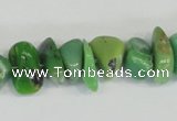 CAU33 15.5 inches australia chrysoprase chips beads wholesale