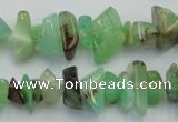 CAU407 15.5 inches 4*8mm - 6*14mm Australia chrysoprase chips beads