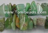 CAU408 15.5 inches 5*10mm - 10*15mm Australia chrysoprase chips beads