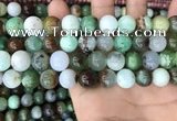 CAU438 15.5 inches 12mm round Australia chrysoprase beads wholesale