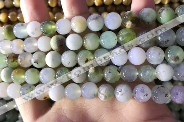 CAU462 15.5 inches 10mm round Australia chrysoprase beads