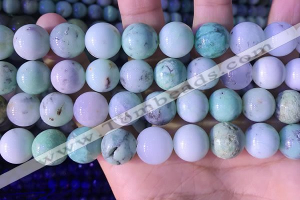 CAU470 15.5 inches 14mm round Australia chrysoprase beads