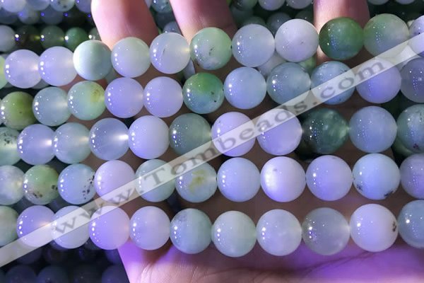 CAU474 15.5 inches 11mm round Australia chrysoprase beads