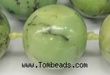 CAU544 15.5 inches 16mm round Australia chrysoprase gemstone beads