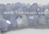 CBC06 15.5 inches 12mm blue chalcedony chips beads wholesale