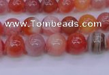 CBC402 15.5 inches 8mm A grade round orange chalcedony beads