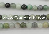 CBJ608 15.5 inches 6mm round jade beads wholesale