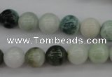 CBJ610 15.5 inches 10mm round jade beads wholesale