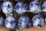 CBS603 15.5 inches 10mm round blue spot stone beads wholesale