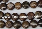 CBZ71 15.5 inches 10mm flat round bronzite gemstone beads