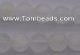 CCA354 15.5 inches 10mm round white calcite beads wholesale