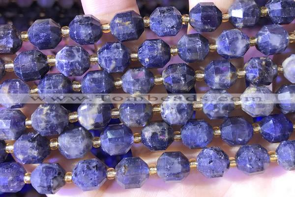 CCB1010 15 inches 9*10mm faceted apatite beads