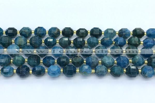 CCB1265 15 inches 9*10mm faceted apatite gemstone beads