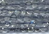CCB1352 15 inches 2.5mm faceted coin labradorite beads