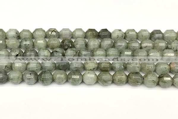 CCB1421 15 inches 9mm - 10mm faceted labradorite beads