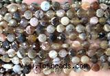 CCB1792 15 inches 6mm faceted coin wooden jasper beads