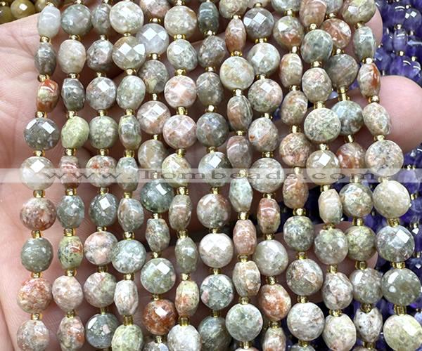 CCB1815 15 inches 6mm faceted coin Chinese unakite beads