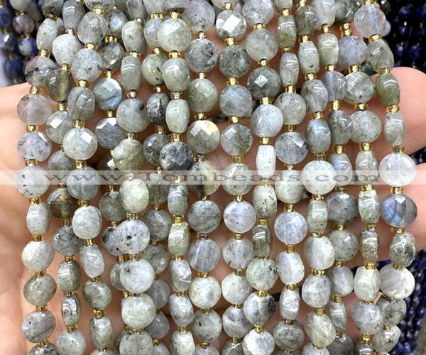 CCB1832 15 inches 6mm faceted coin labradorite gemstone beads