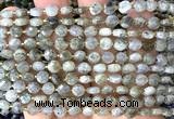 CCB1832 15 inches 6mm faceted coin labradorite gemstone beads
