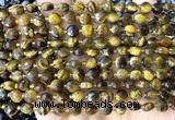 CCB1851 15 inches 6mm faceted coin yellow tiger eye beads