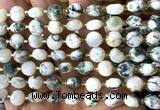 CCB1933 15 inches 8mm faceted coin tree agate beads wholesale