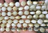 CCB1961 15 inches 8mm faceted coin Afghanistan jade beads