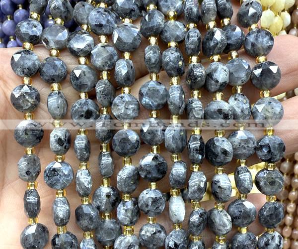 CCB2031 15 inches 8mm faceted coin black labradorite beads