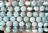 CCB2181 15 inches 10mm faceted coin amazonite beads wholesale