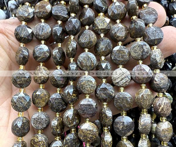 CCB2196 15 inches 10mm faceted coin bronzite gemstone beads